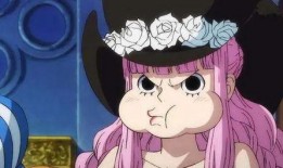 爆料佩罗娜技能视频播放,视频播放揭示惊人实力