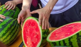 免费吃瓜推荐,揭秘热门话题，畅享娱乐盛宴